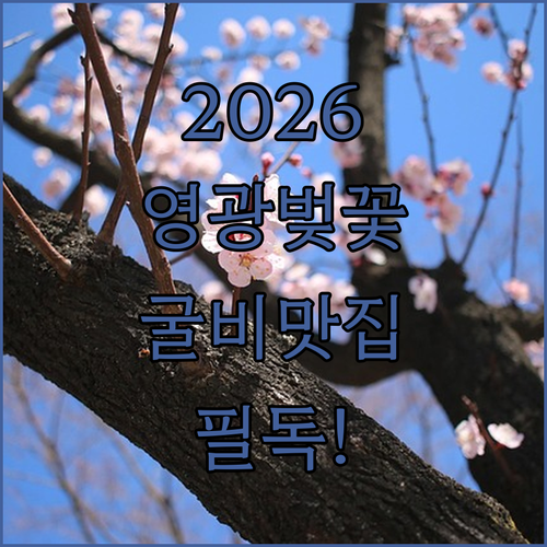 2026 영광 벚꽃 개화 시기와 법성포 굴비 맛집 정보