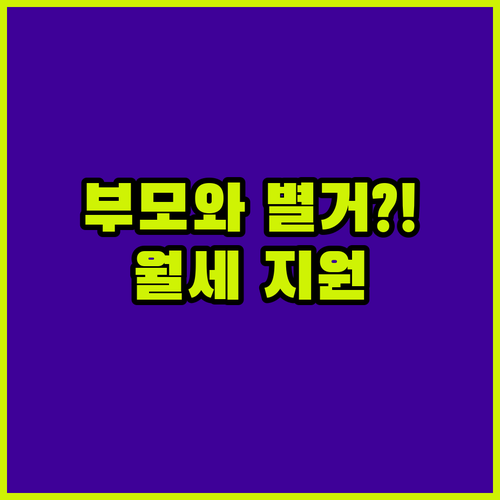 부모와 별도 거주 청년 남해군 월세 지원 대상