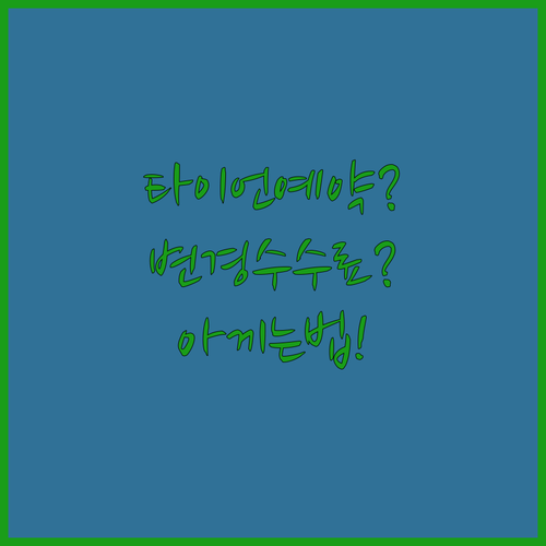 타이라이언에어 예약 후 좌석 변경 수수료 아끼는 법