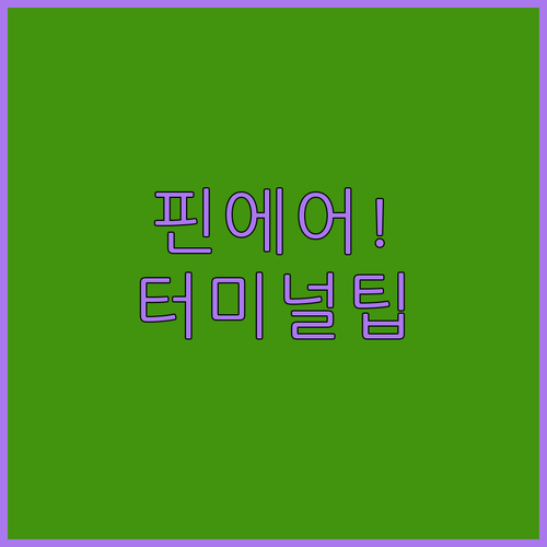 핀에어 인천공항 제1터미널 위치 및 수하물 팁