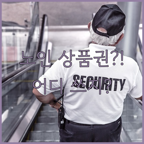 2026년 어르신 스포츠 상품권 사용 가능 시설과 금액