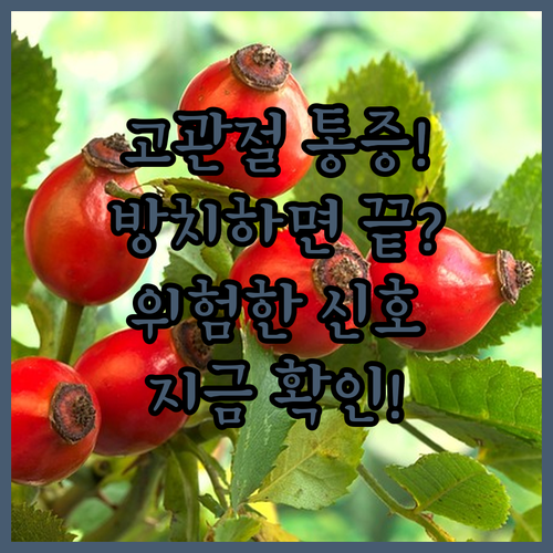 한쪽 고관절 통증 방치하면 위험한 이유와 병원 방문 시기