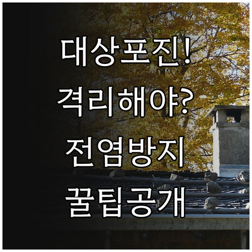 대상포진 진단 후 궁금한 격리 기간과 전염 예방 수칙