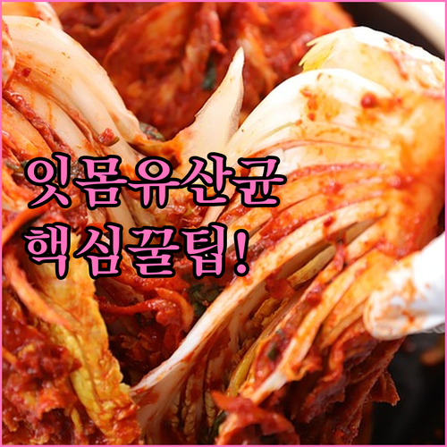 잇몸 건강 구강유산균 효능과 복용 방법 총정리
