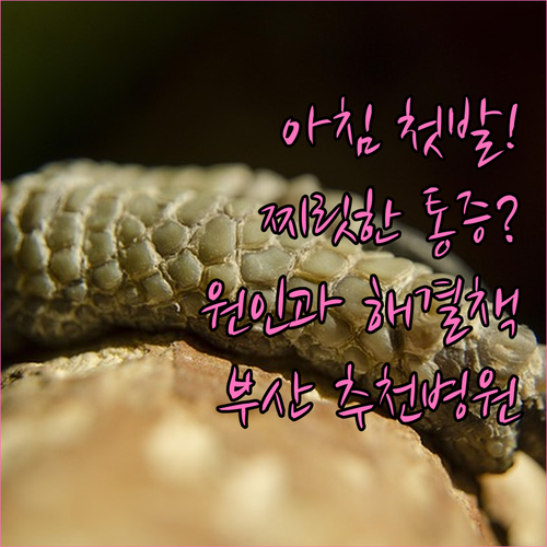 image a0461e9c