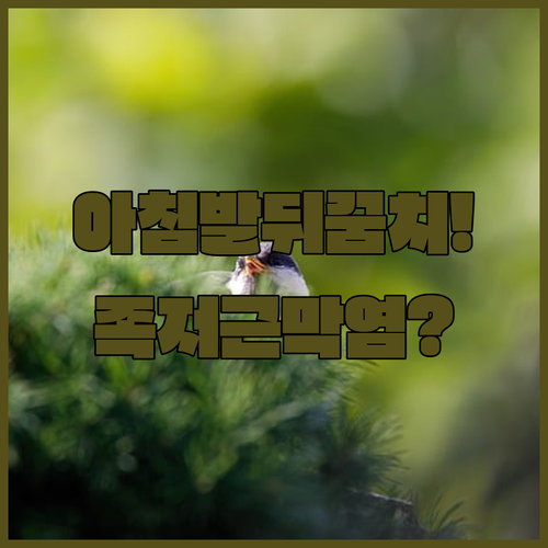 아침 발뒤꿈치 통증 족저근막염 원인 진단 치료 모음