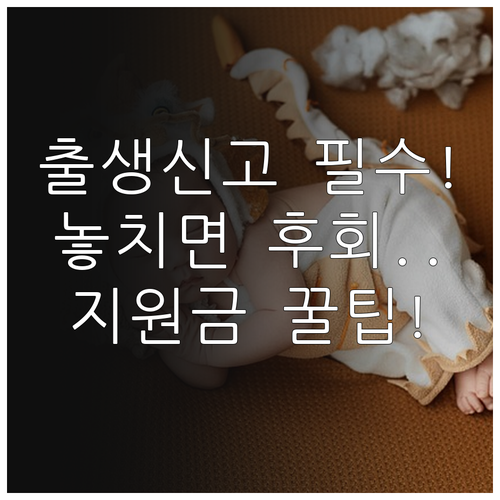 신생아 출생신고 절차와 필요 서류 및 정부 지원 혜택 확인하기