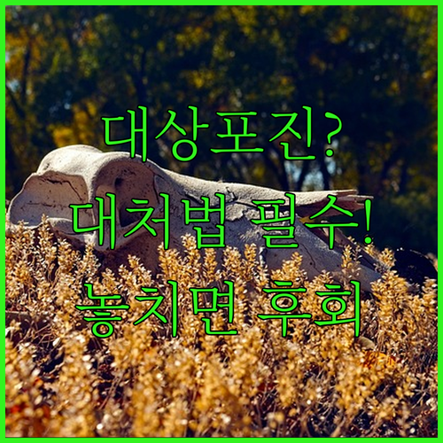 image bf9151cb