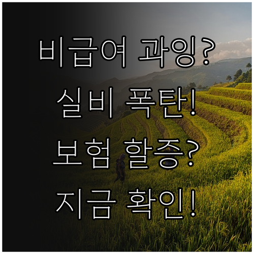 비급여 과잉진료와 실비보험 할증의 상관관계