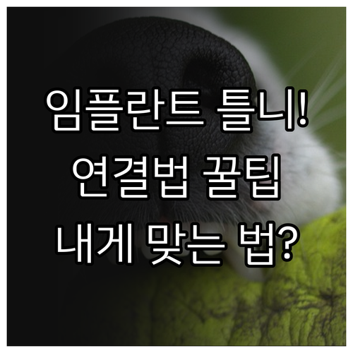 임플란트 틀니 종류와 상황별 적합한 연결 방식
