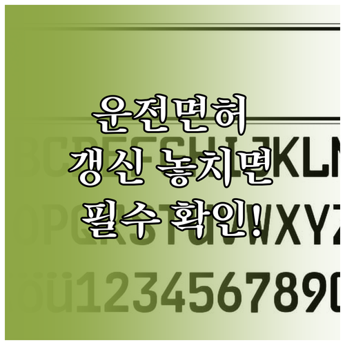 운전면허 갱신 기간을 놓쳤을 때 확인할 사항