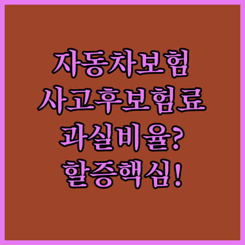 자동차보험 사고 후 보험료 인상 여부와 과실 비율