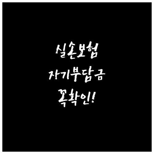 실손보험 자기부담금 계산 기준과 확인 방법