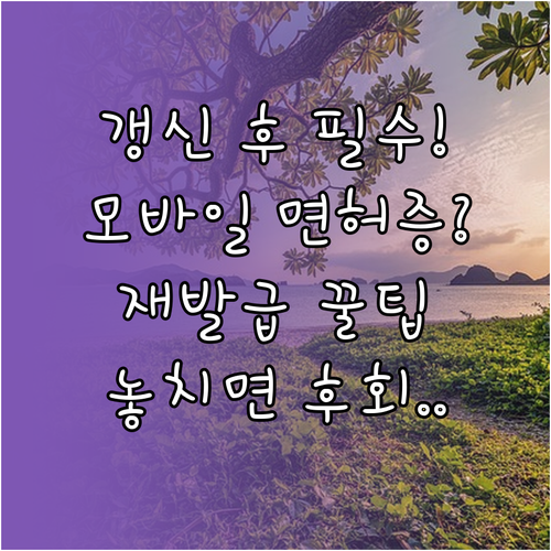 운전면허 갱신 후 모바일 면허증 재발급이 필요한 이유