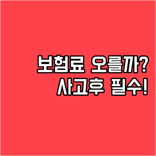 자동차보험 사고 후 보험료가 오르는 조건과 확인 방법