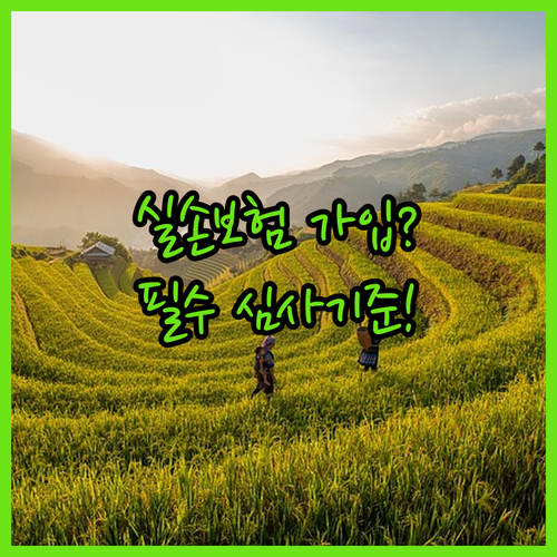 2026년 실손보험 가입조건 4가지와 필수 심사기준