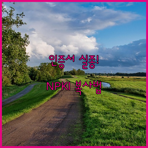 PC 공동인증서 안 보일 때 NPKI 저장 경로 확인과 USB 수동 복사