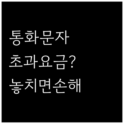 알뜰폰 통화·문자 제공량 비교와 초과 요금 확인