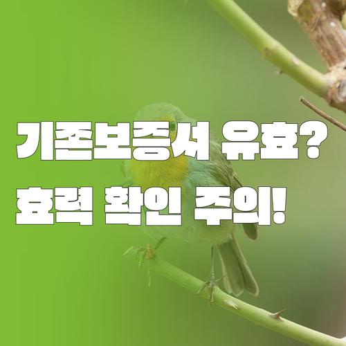 엔케어 명품보증제도 기존 보증서 효력과 확인 시 주의할 점