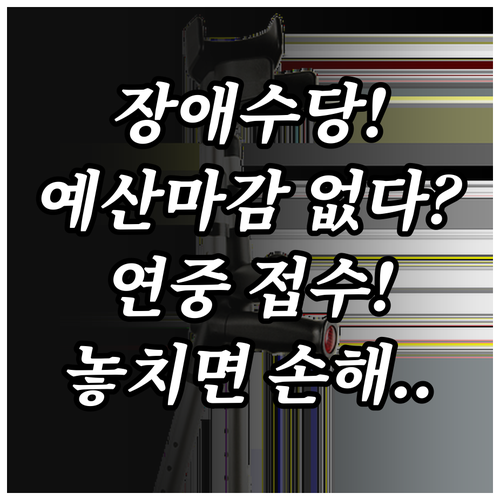 장애수당 예산 마감 없이 연중 접수되는 법정 급여