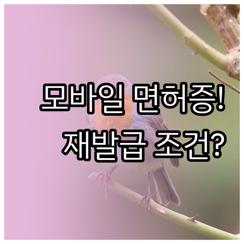 모바일 운전면허증 재발급 조건과 발급에 필요한 준비물