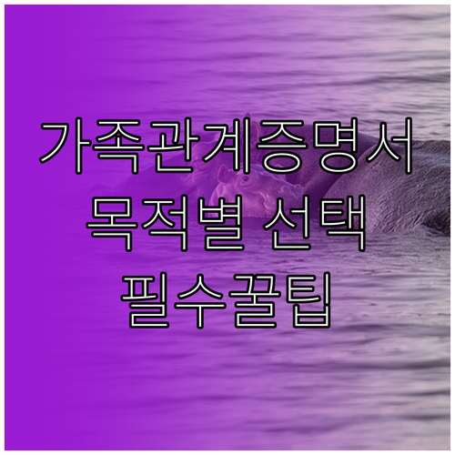 가족관계증명서 제출 목적별 종류 선택 방법