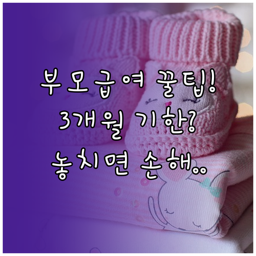 부모급여 신청기한 3개월, 지나면 신청한 달부터 지급