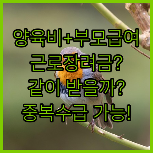 아동양육비 부모급여 근로장려금 같이 받을 수 있나?